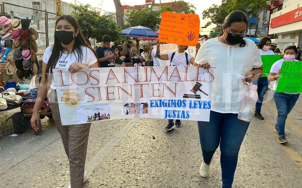 Marcha en Tuxtla (10)